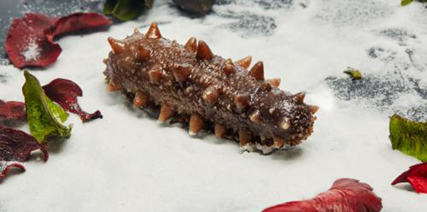 怎樣快速的區(qū)分淡干海參、鹽干海參和凍干海參？